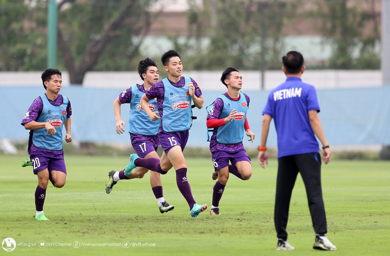 Chuyên gia Văn Đại: ‘Tôi thề là tôi không làm gì Đình Bắc’