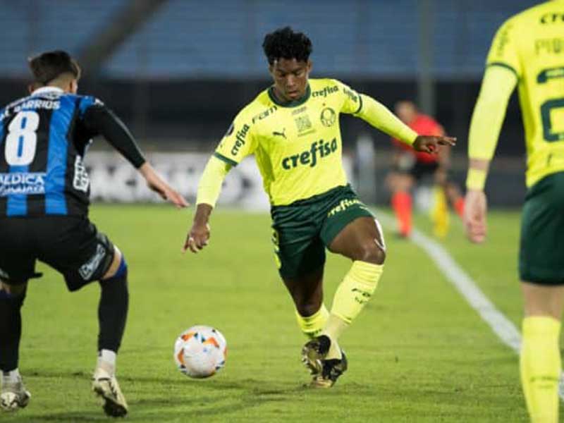 Nhận định soi kèo Criciuma vs Palmeiras lúc 02h00 ngày 2/6/2024