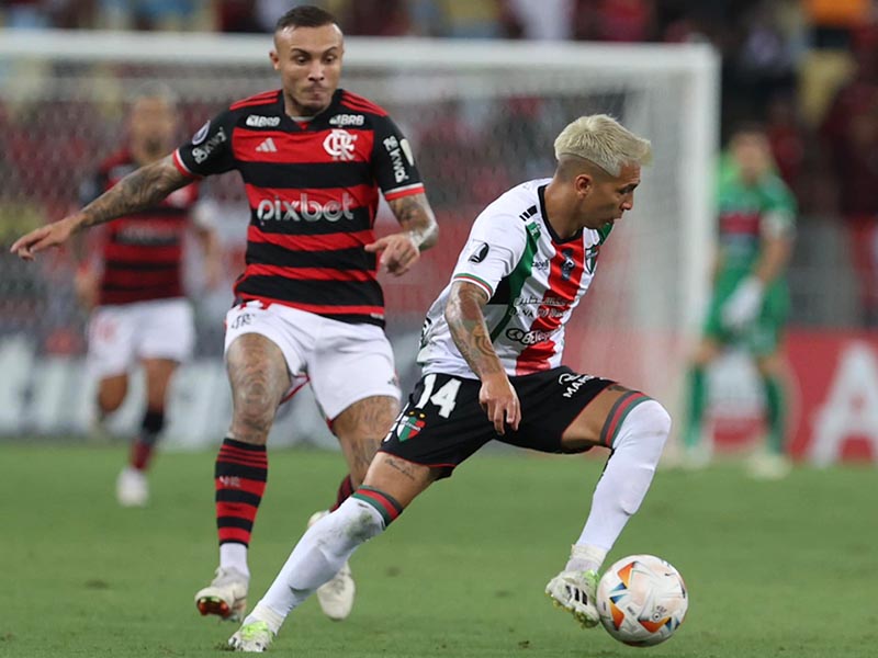 Nhận định soi kèo Palestino vs Flamengo lúc 07h00 ngày 8/5/2024